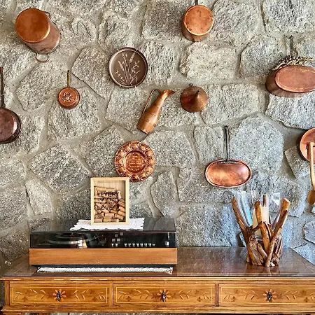 Semesterbostad Casa Del Noce - In The Heart Of Swiss Alps