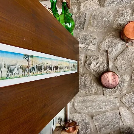 Semesterbostad Casa Del Noce - In The Heart Of Swiss Alps Faido